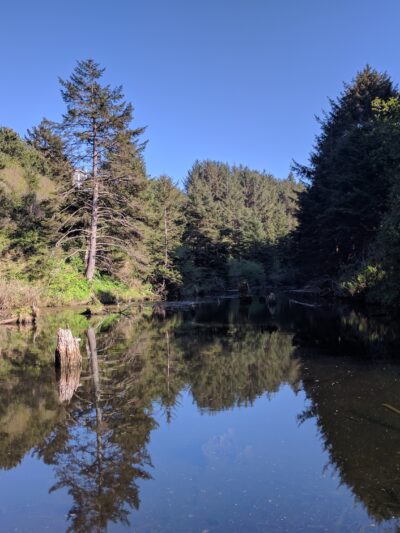 Canyon Drive Park - Lincoln City, OR