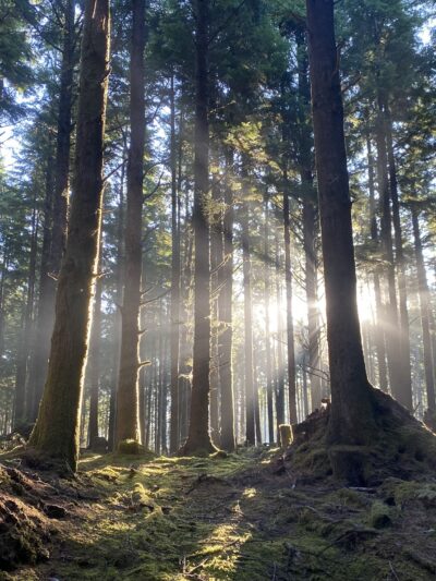 Agnes Creek Trailhead - Lincoln City, OR