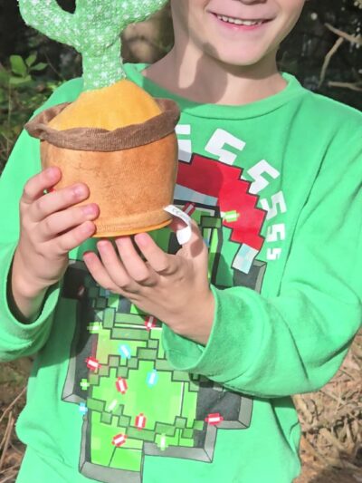 Agnes Creek Trailhead - Lincoln City, OR