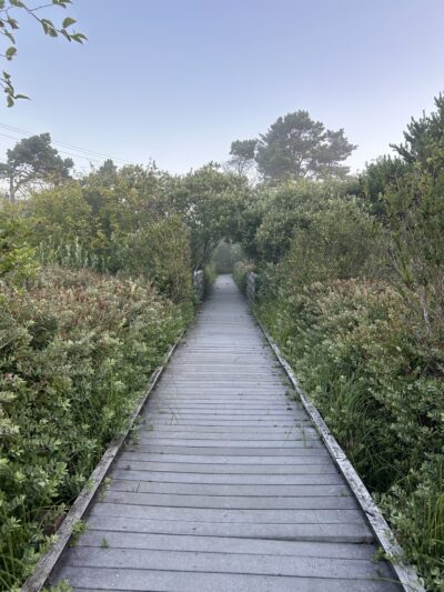 Devil's Lake Boardwalk Trail - Lincoln City, OR