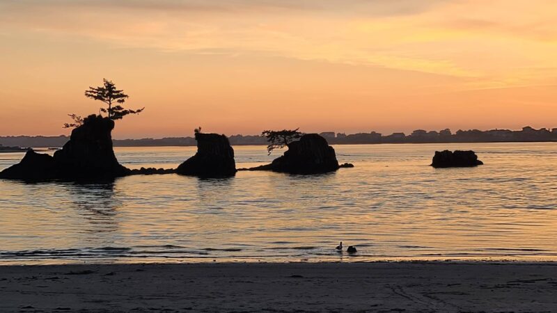 Fleet Street Park - Lincoln City, OR