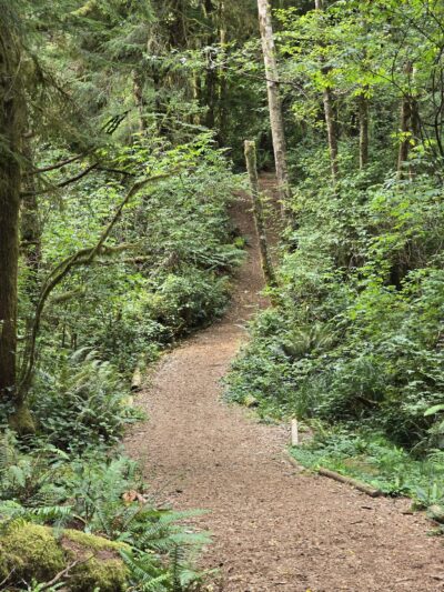 Friends of the Wildwood Open Space - Lincoln City, OR
