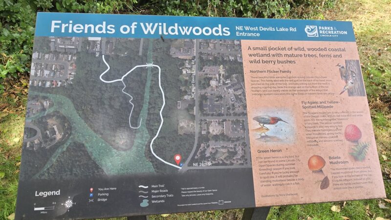 Friends of the Wildwood Open Space - Lincoln City, OR