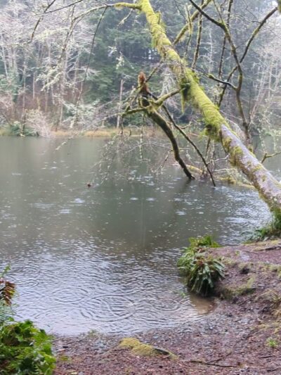 Spring Lake Open Space - Lincoln City, OR