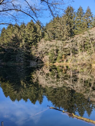 Spring Lake Open Space - Lincoln City, OR