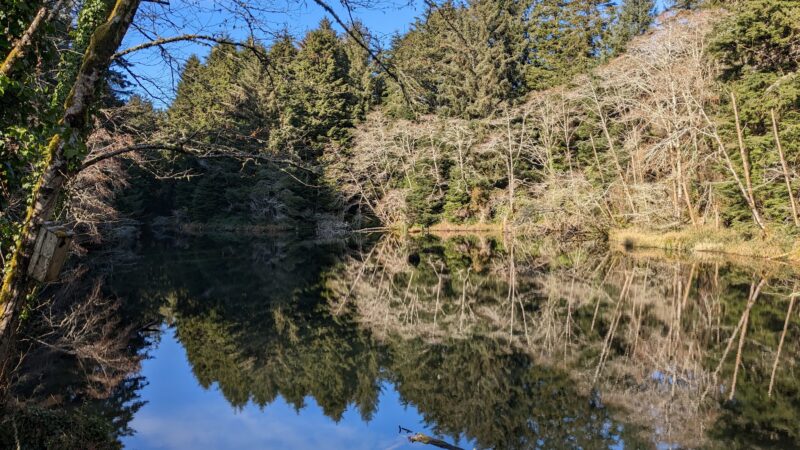 Spring Lake Open Space - Lincoln City, OR