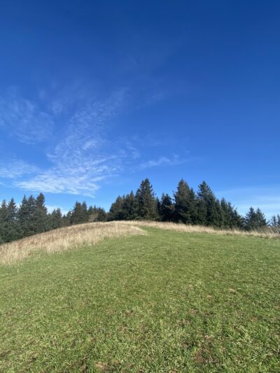 The Knoll - Lincoln City, OR