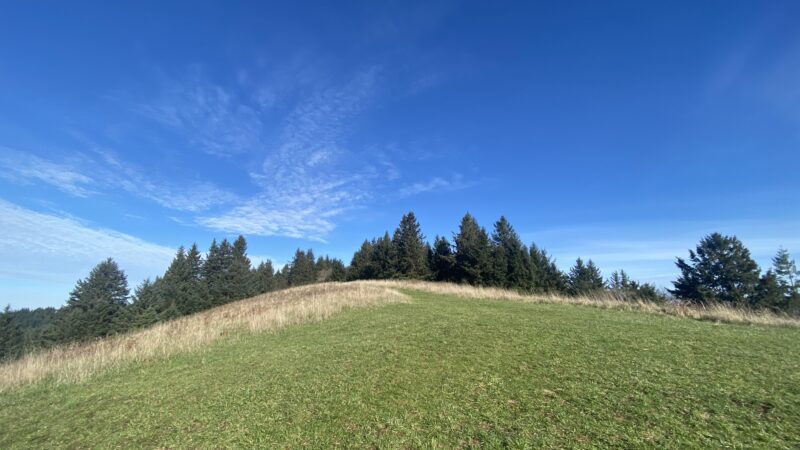 The Knoll - Lincoln City, OR