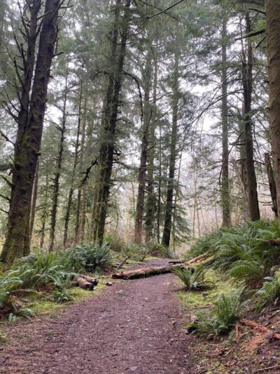 The Knoll - Lincoln City, OR