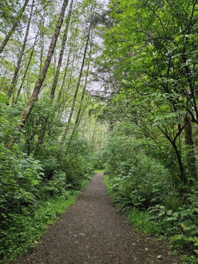 The Knoll Open Space Trailhead - Lincoln City, OR