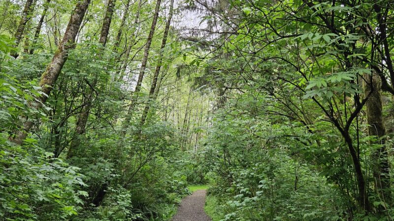 The Knoll Open Space Trailhead - Lincoln City, OR