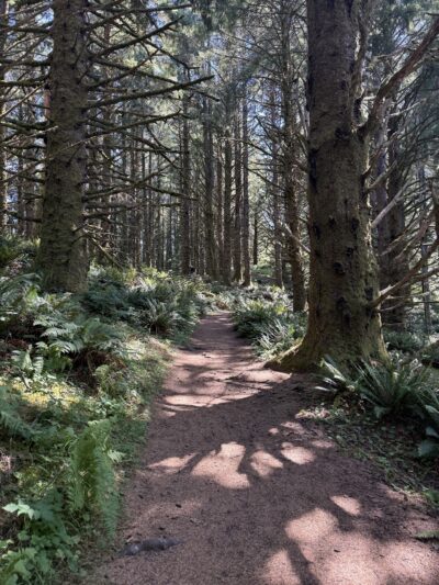 The Knoll Open Space Trailhead - Lincoln City, OR