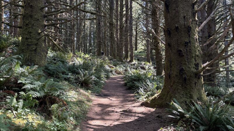 The Knoll Open Space Trailhead - Lincoln City, OR
