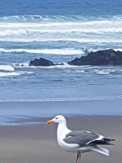 Wecoma City Park - Lincoln City, OR