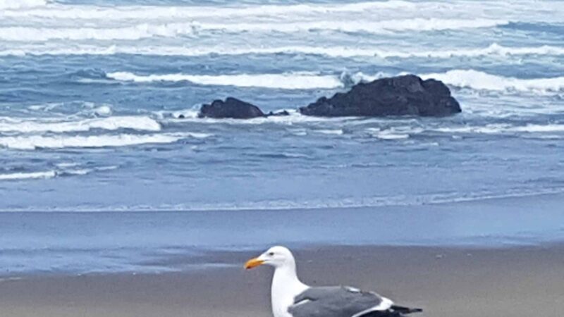 Wecoma City Park - Lincoln City, OR