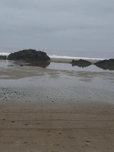 Wecoma City Park - Lincoln City, OR