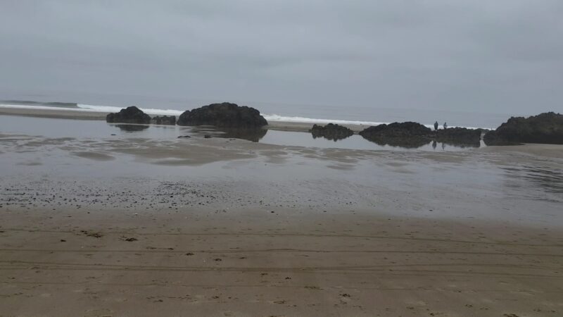 Wecoma City Park - Lincoln City, OR