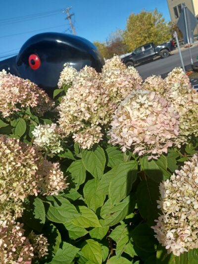 Lincoln Town Recreation Bllrd - Lincoln, ME