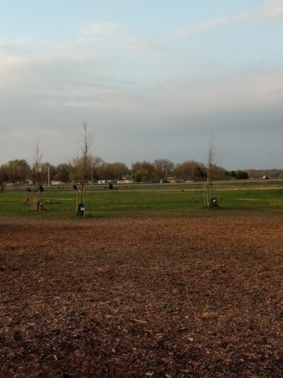 Oak Lake Dog Park - Lincoln, NE