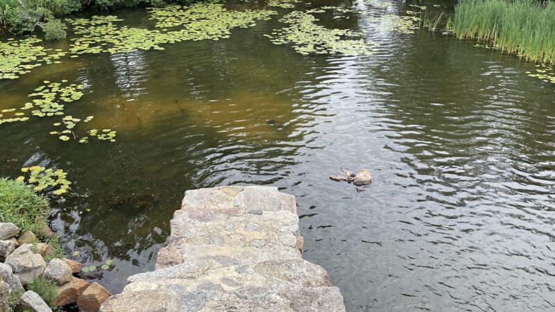 Arnold park - Lincoln, RI