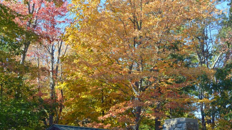 Evans Park - Lincoln, RI