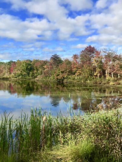 Evans Park - Lincoln, RI
