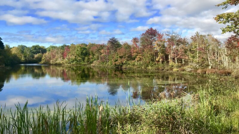 Evans Park - Lincoln, RI