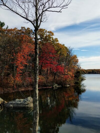 Lincoln Woods State Park - Lincoln, RI
