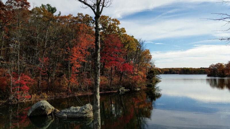 Lincoln Woods State Park - Lincoln, RI