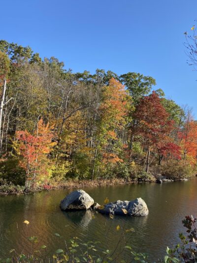 Lincoln Woods State Park - Lincoln, RI