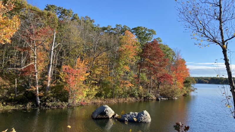Lincoln Woods State Park - Lincoln, RI