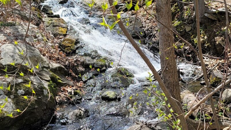 Lincoln Woods State Park - Lincoln, RI