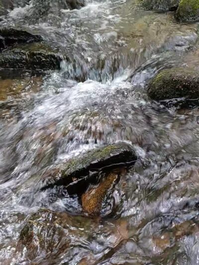 Lincoln Woods State Park - Lincoln, RI