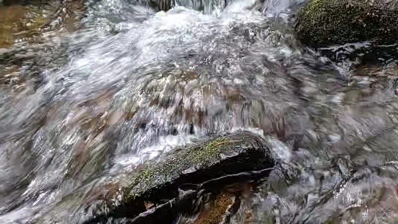 Lincoln Woods State Park - Lincoln, RI