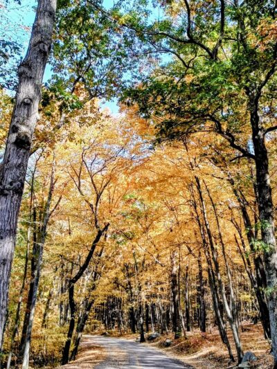 Lincoln Woods State Park - Lincoln, RI