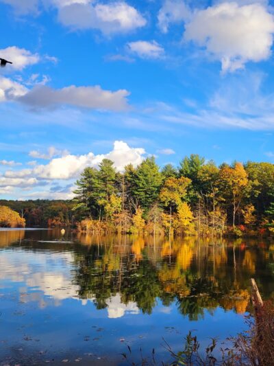Lincoln Woods State Park Beach - Lincoln, RI