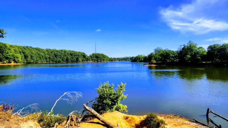 Thompson Park - Lincroft, NJ