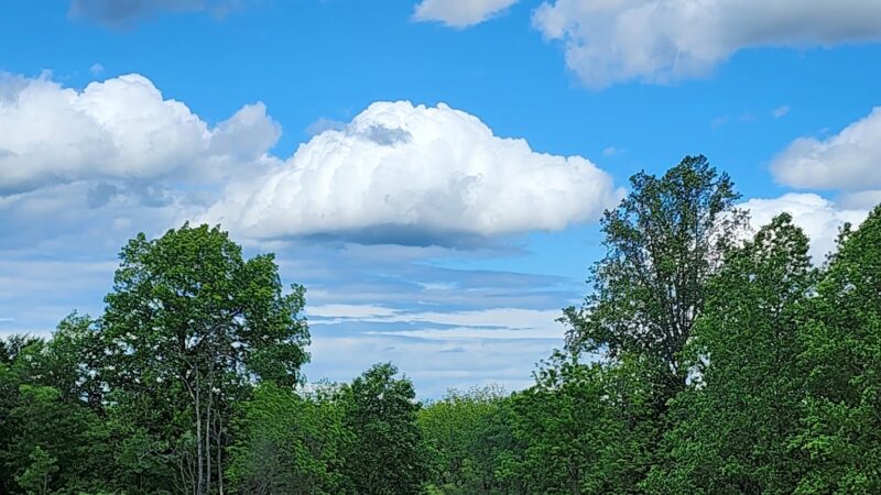 Thompson Park - Lincroft, NJ