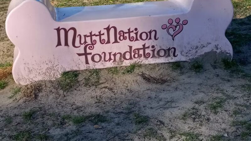 City of Lindale Dog Park - Lindale, TX