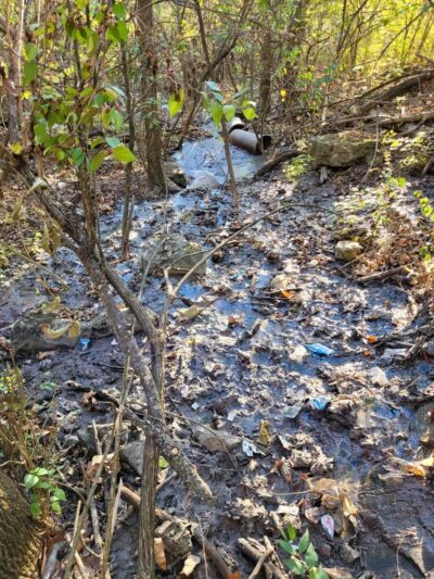 Maguire Park - Linn, MO