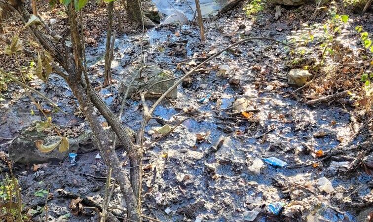 Maguire Park - Linn, MO