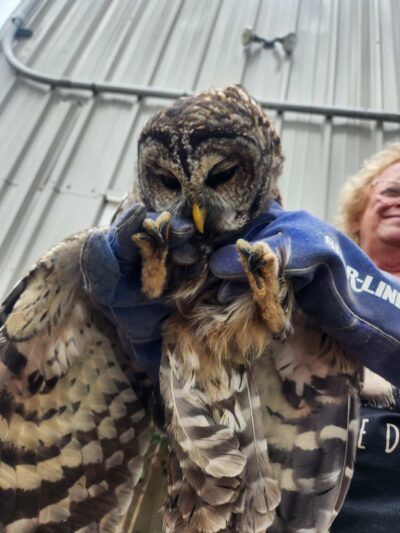 Operation Wildlife - Linwood, KS