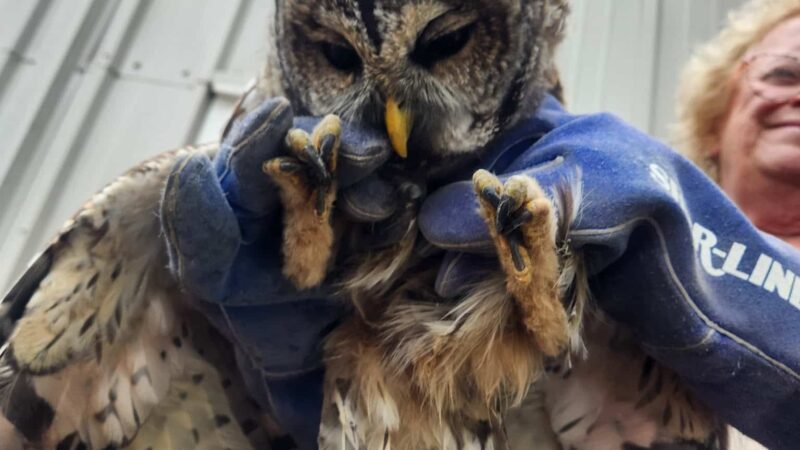 Operation Wildlife - Linwood, KS