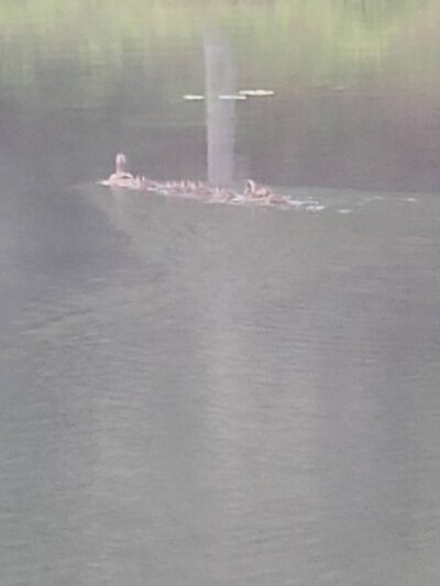 Beaver Park - Lisbon, ME