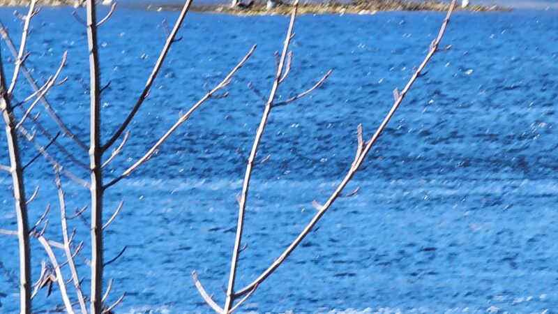 Lisbon Rail Trail Parking - Lisbon, ME