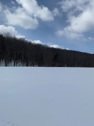 Greenwood Park - Lisle, NY