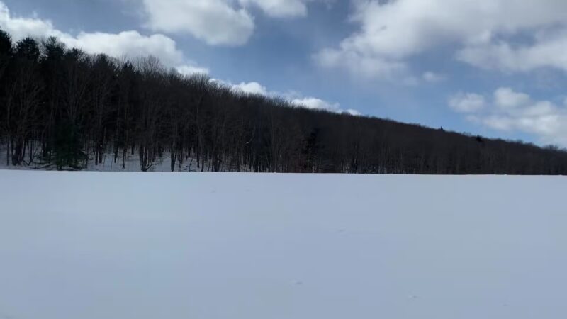 Greenwood Park - Lisle, NY