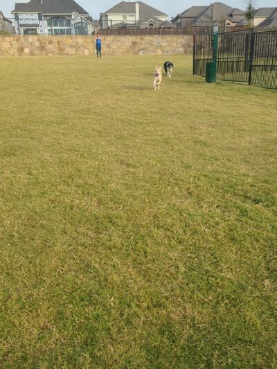 Frisco Hills Dog Park - Little Elm, TX