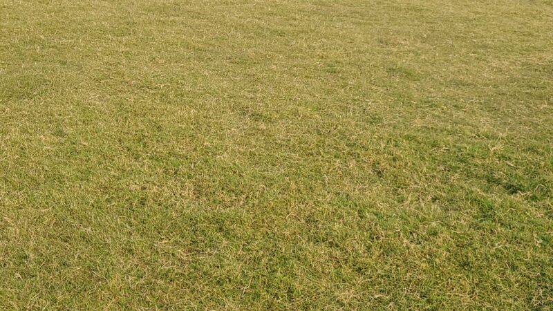 Frisco Hills Dog Park - Little Elm, TX