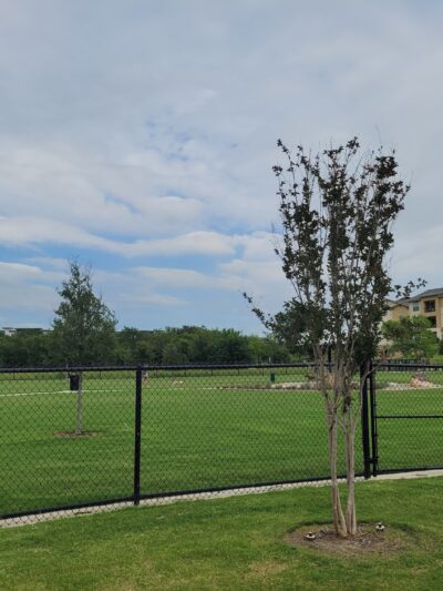 Little Elm Dog Park (Splash Zone) - Little Elm, TX